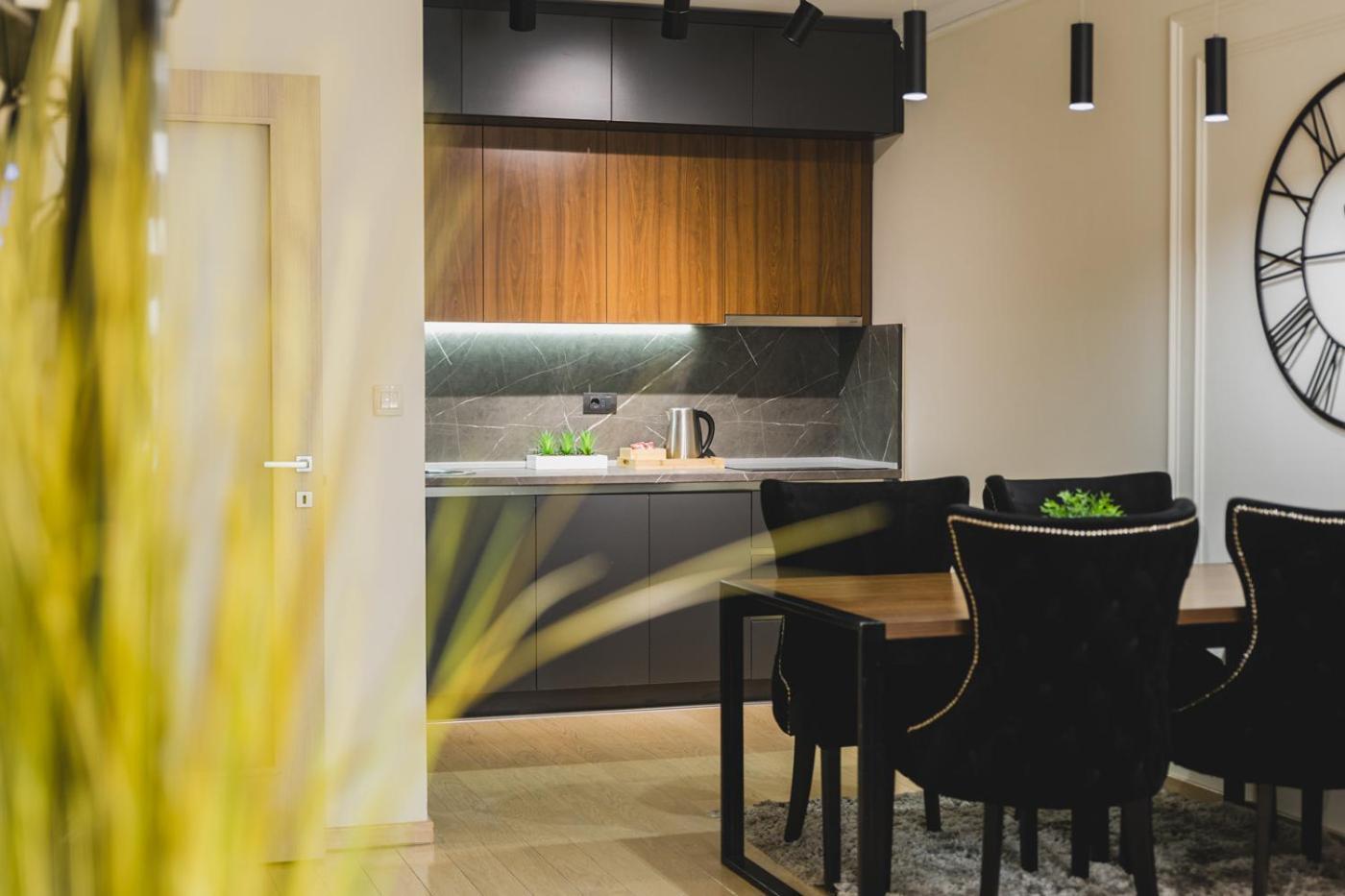 Harmony Apartments 포드고리차 외부 사진