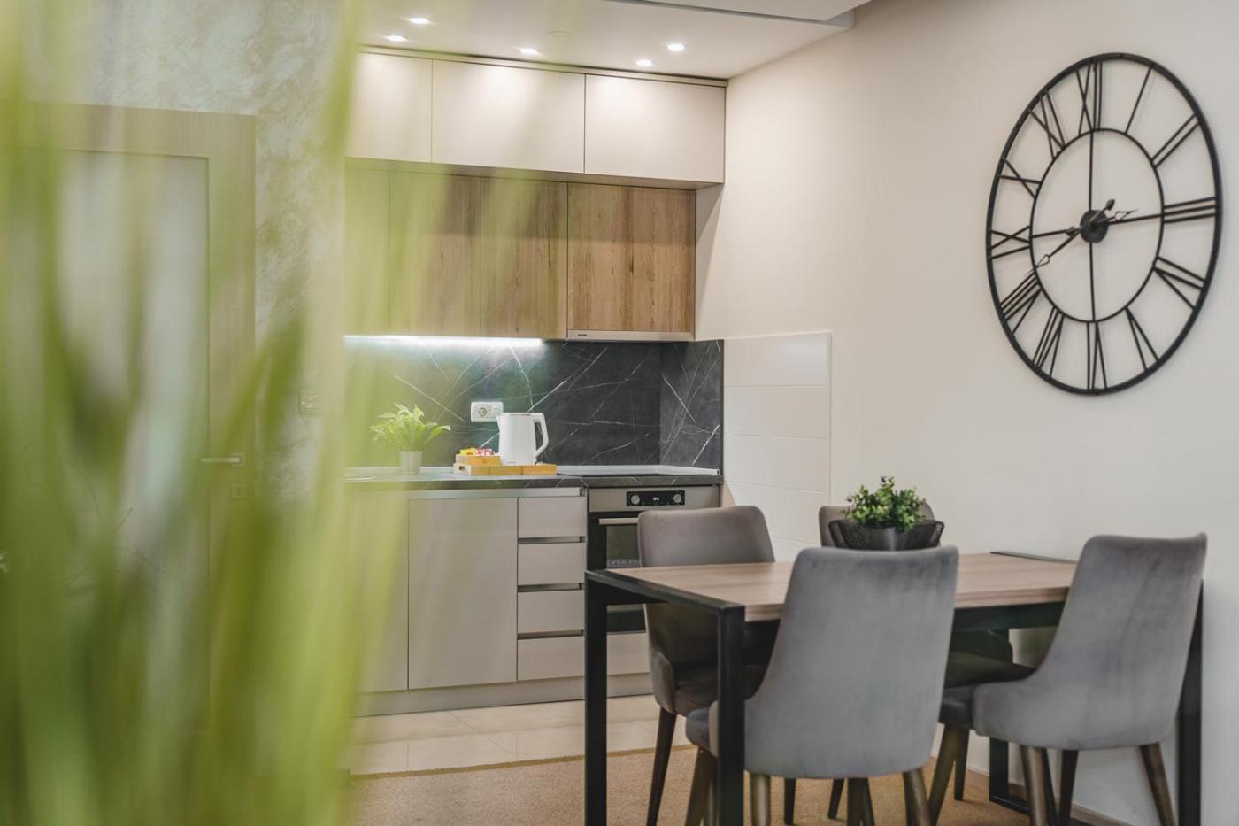 Harmony Apartments 포드고리차 외부 사진